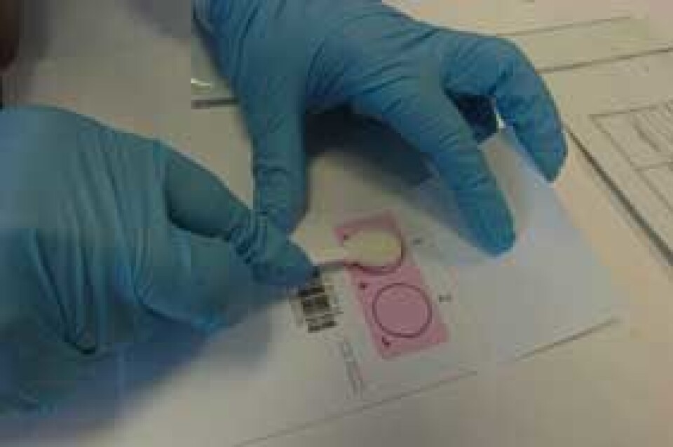 DNA-testing