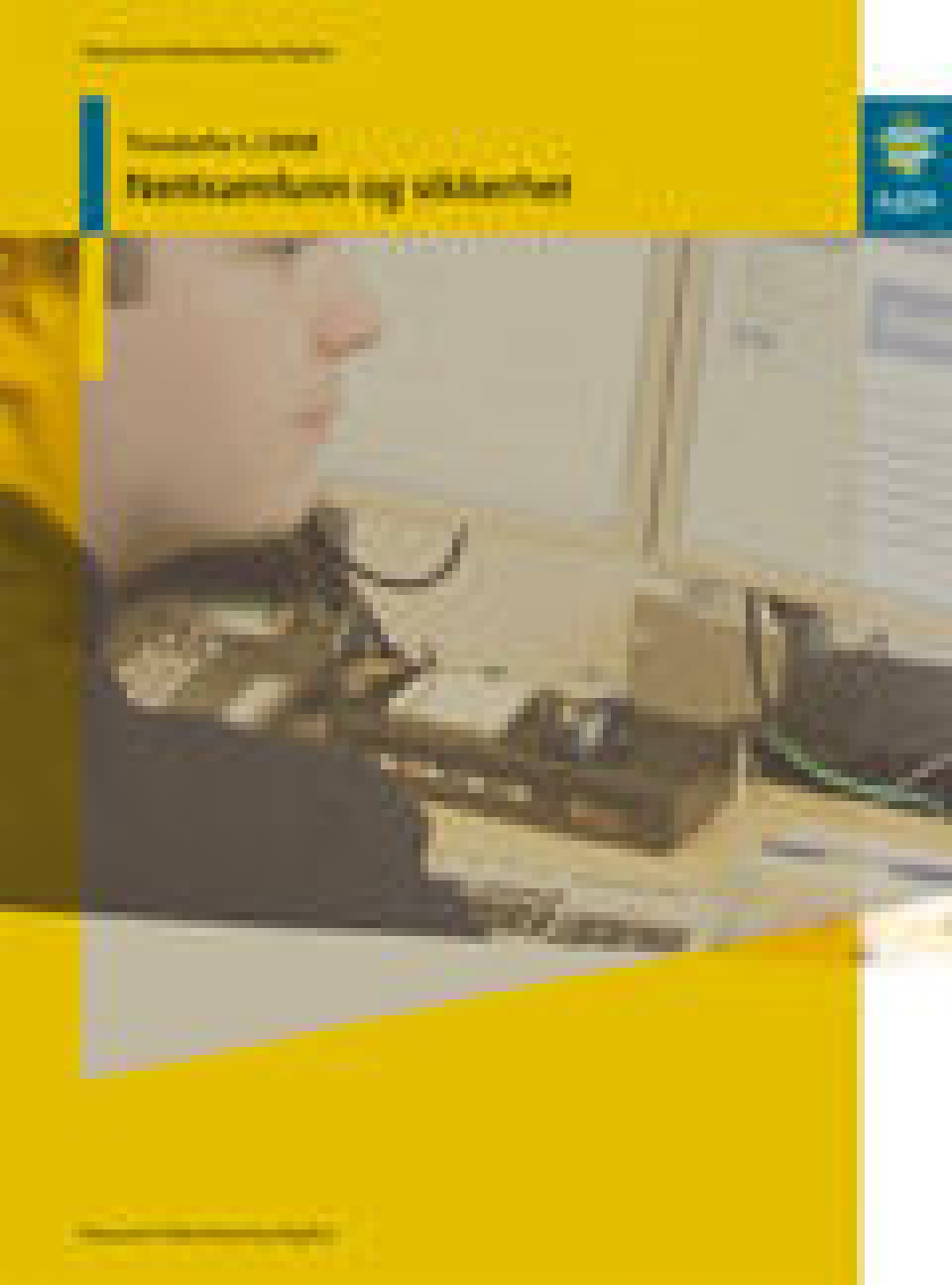 Behov for økt sikkerhet rundt nettsamfunn