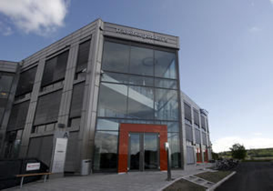 Vakt Service Nybygg 8215