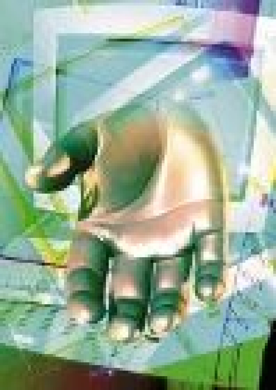 Nettkriminalitet - veien til raske penger