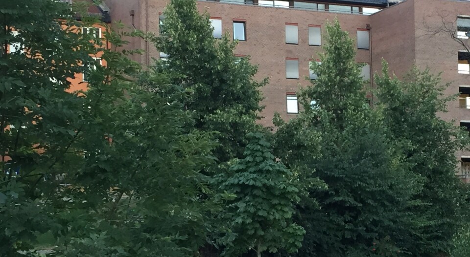 UDI-sjef Frode Forfang må svare Norsk Sikkerhetsforening på hvordan sikkerheten ved norske flyktningmottak ivaretas (illustrasjonsfoto: Even Rise).